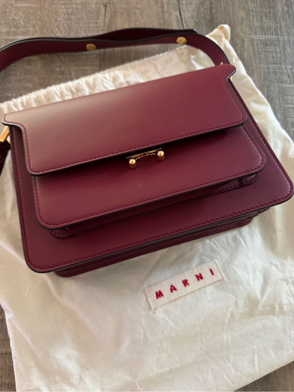 Marni Wine Red Leather Crossbody Bag with Gold-Tone Hardware